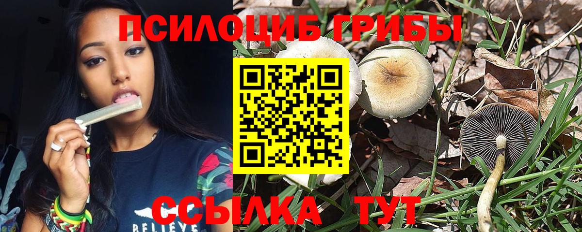 Галлюциногенные грибы Magic Shrooms Ростов Великий