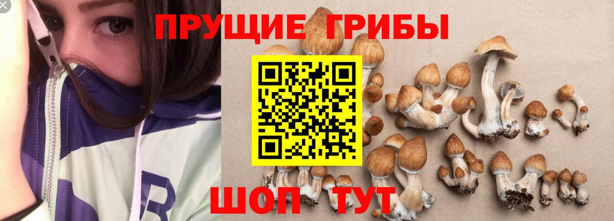Галлюциногенные грибы GOLDEN TEACHER  как найти наркотики  Ростов Великий  Вход с VPN 